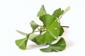 ginkgo biloba to enlarge the penis